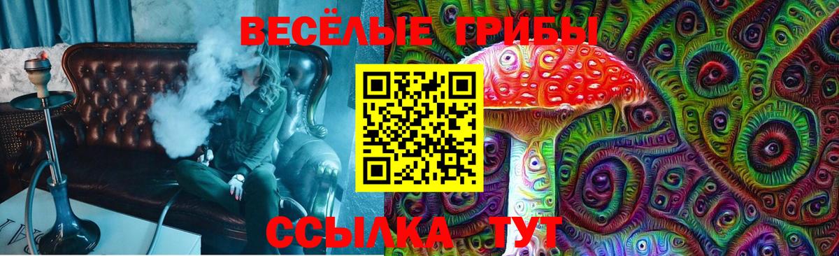 Псилоцибиновые грибы мицелий Карабулак