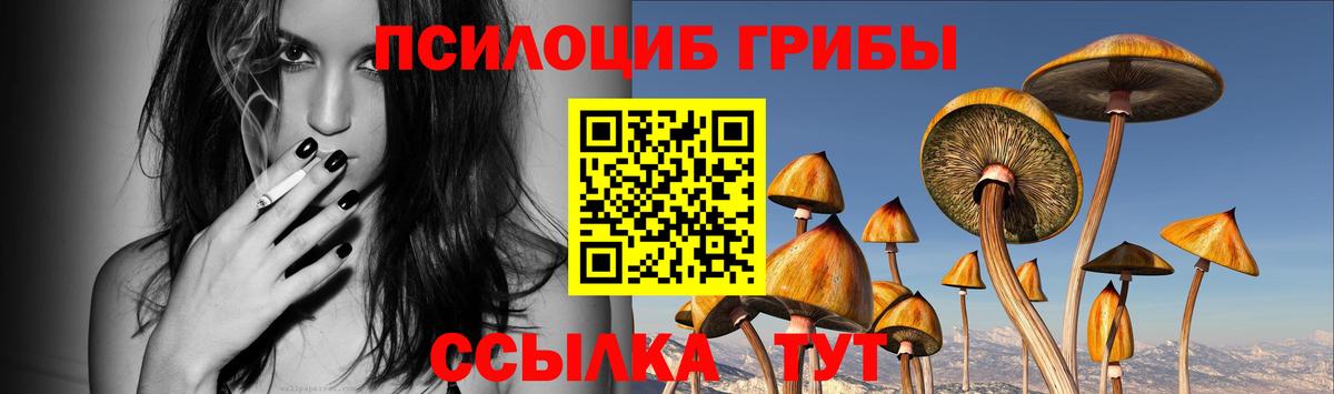 купить закладку  Вход с VPN  Карабулак  Галлюциногенные грибы мухоморы 